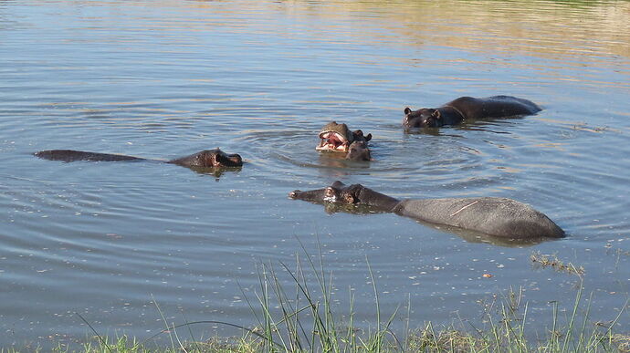 Re: NAMBOTSVIC Namibie- Botswana- Victoria Falls, 3 semaines magiques - PATOUTAILLE