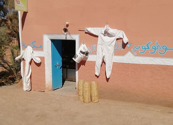 Re: En famille, de Marrakech au désert  - trostang