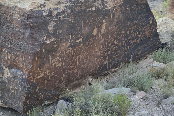 Dimanche 26 Juillet : Petrified Forest – Painted Desert NP - darth