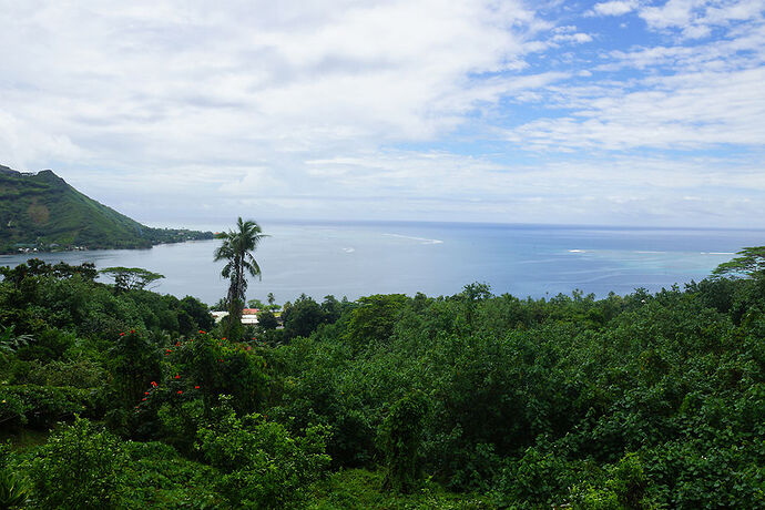 Retour sur découverte de Moorea 1 - cartesien