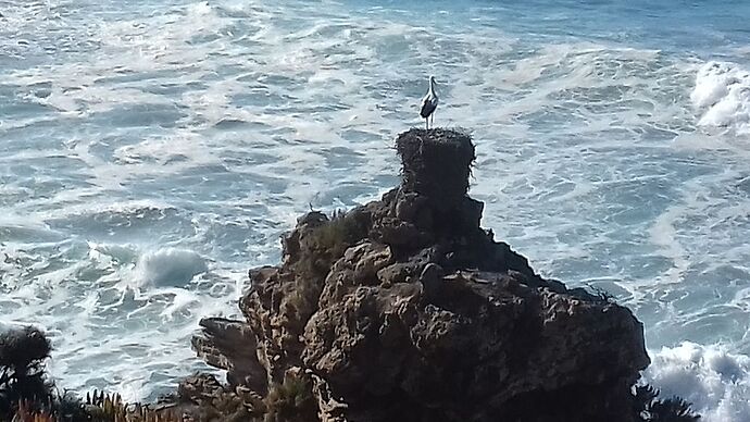 Rota vicentina... Nous voilà! - doumenancy