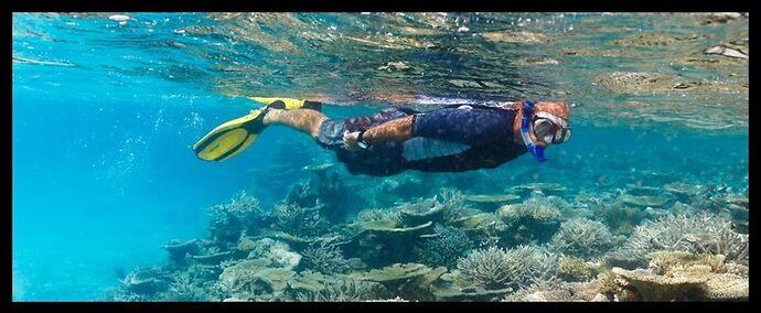 Corail dur aux Maldives - Philomaldives  Guide  Maldives