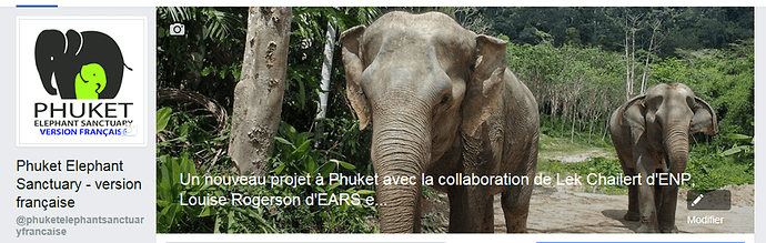 Re: elephants en Thailande - pelotedelaine