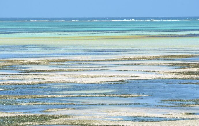 Re: Safari en Tanzanie avec l’agence Kibowhy et séjour à Zanzibar, notre plus beau voyage ! - RaphEmma