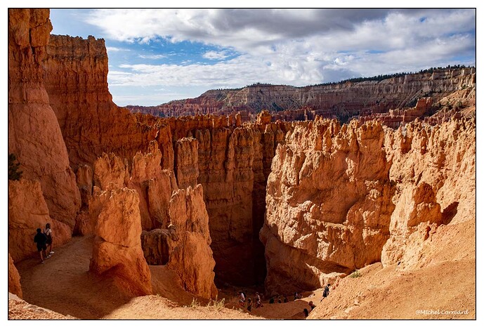 BRYCE (161)