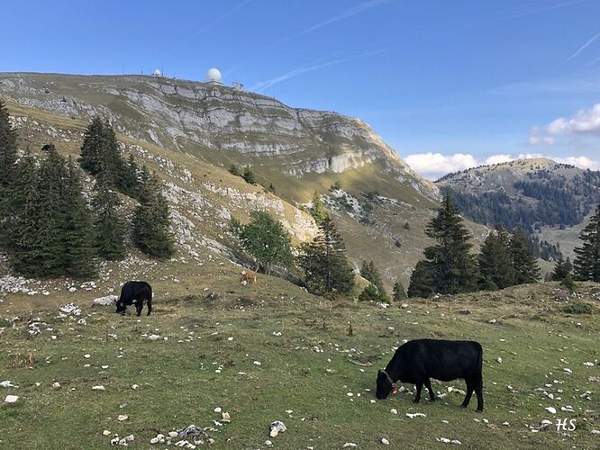 Par monts et par crêts dans le massif du Jura - krikri&RV