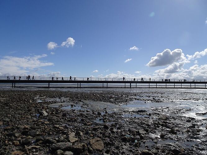 Re: Carnet de voyage, pont en Bretagne et Normandie  - Fecampois