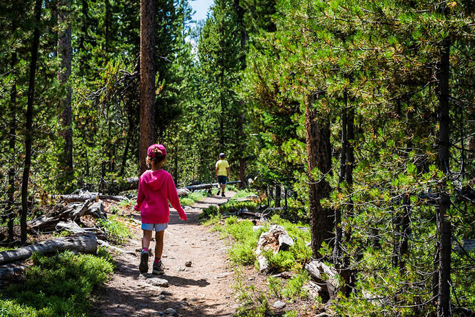 Vendredi 28 Juillet – Grand Canyon of Yellowstone - darth