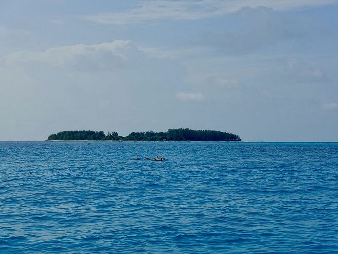 Re: Faire du snorkeling à Zanzibar Mnemba Island - Christo06