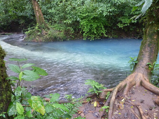 De retour de 15 jours au Costa Rica - delorg