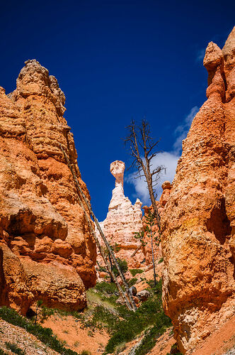 Mardi 9 août : Kodachrome State Park & Bryce Canyon - darth