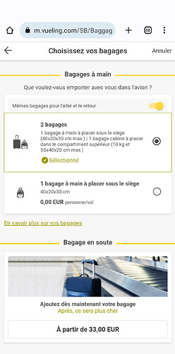 Prix bagage en soute sur Air France - Forum Avion - Forums