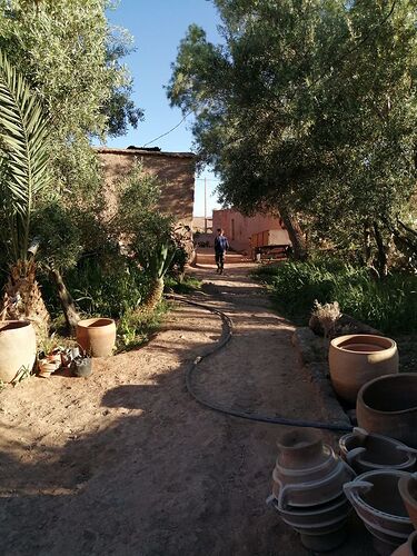 Re: Au retour de notre quinzaine dans le sud du Maroc.  - Louisa21