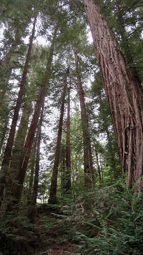 Re: Ma semaine à San Francisco - PATOUTAILLE