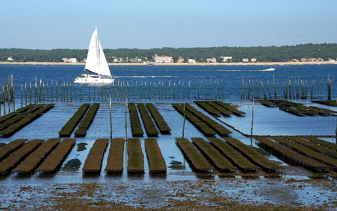 Re: Au Cap Ferret pendant les Grandes Marées - jem