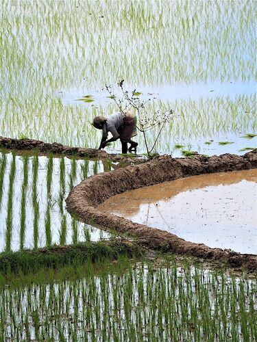 4 semai,es en 4x4 à Madagascar - PIHIEN