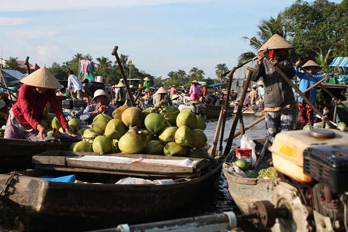 Le marché de Phong Điền - Abalone_vn