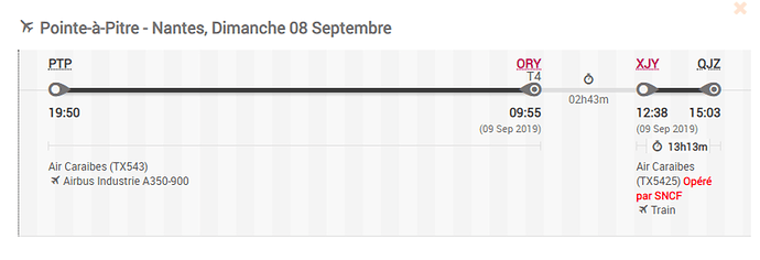 Re: Voyage de Nantes à Pointe à pitre, question sur correspondance à Paris - Welsen-Wx
