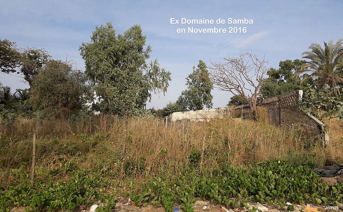 Re: EX domaine de samba..... :/ - jojowarang