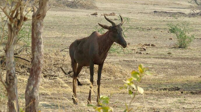 Re: NAMBOTSVIC Namibie- Botswana- Victoria Falls, 3 semaines magiques - PATOUTAILLE