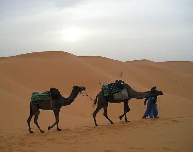 Re: Au retour de notre voyage en famille dans le sud du Maroc  - Kelyah