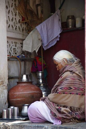 Voyage au Rajasthan avec chauffeur avec Elephant Travel - Rouky2