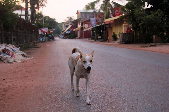 Aujourd'hui, petit tour très tôt le matin - IzA-Cambodia