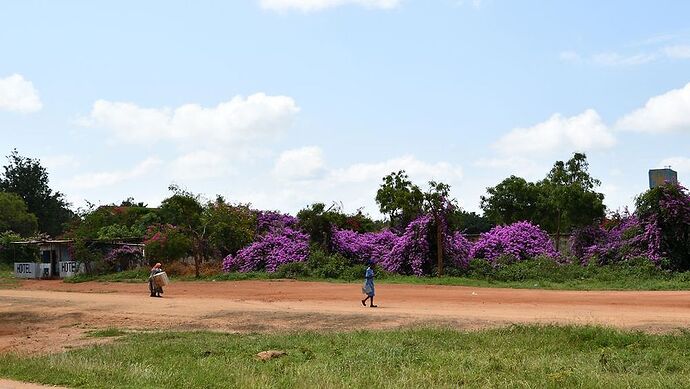 Re: Au coeur du Kenya ; le Kenya dans le coeur - Jmarc71