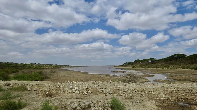 Re: TANZANIE en Décembre, les parcs du Nord sous le signe de la chance! - PATOUTAILLE