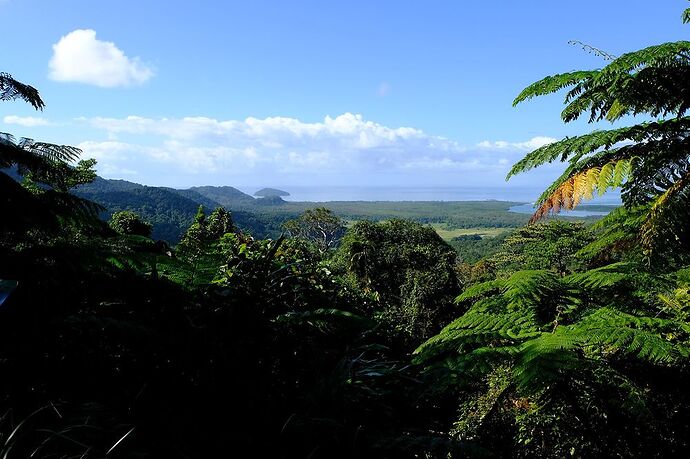 A la découverte du Tropical North Queensland - CelCed6