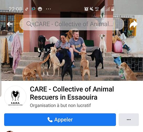 Care collective of animal rescuses essaouira refuge ARNAQUE  - ALE-Vr