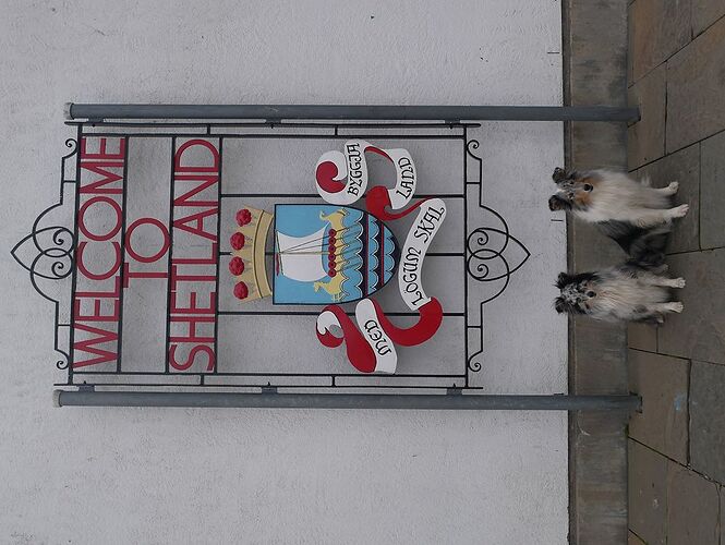 Re: 24 jours en Ecosse jusqu'aux îles Shetlands avec 2 chiens - Zoune
