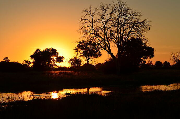 Suite: le Delta de Lokavango - Khwaï river - fabienne65