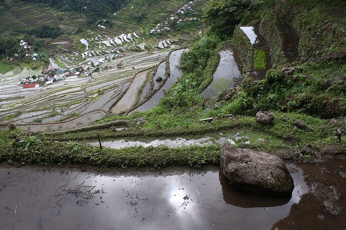 Treks à gogo dans les rizières Ifugao - soandzo