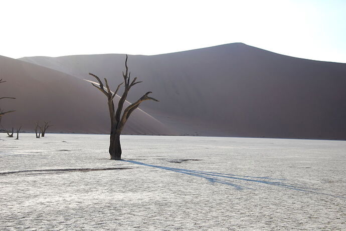 J14 - Dead vlei, Sossusvlei, Tsaris Mountains - llce