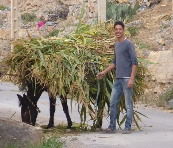 Re: Montagnes,oasis,kasbahs du Maroc  - mimidada