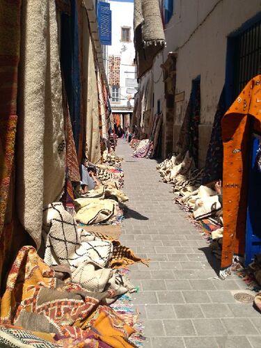 Re: Voyage 2 adultes 15 jours au départ-retour de Marrakech - quinqua voyageuse
