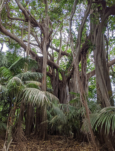 Randonnées et détente au plus près de la nature: 5 jours sur Lord Howe Island - exploringpaw