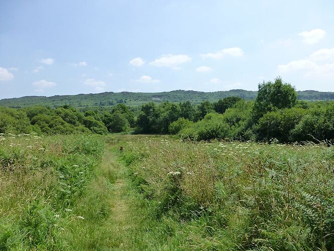 Re: Carnet de voyage, une semaine sous le soleil de Bretagne - Fecampois