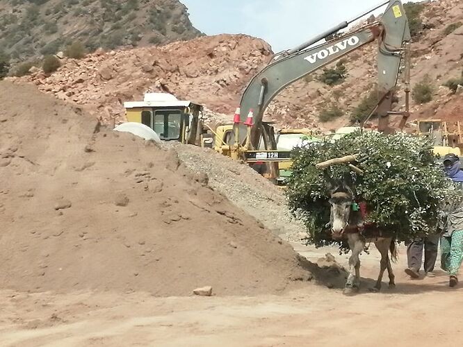 Re: Au retour de notre quinzaine dans le sud du Maroc.  - Louisa21