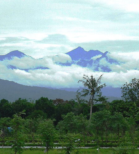 Re: Conseils pour Lombok - yunita
