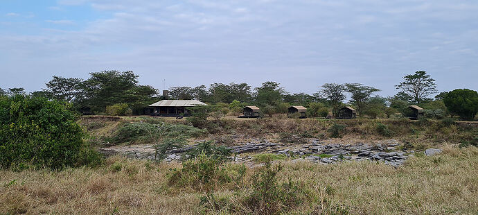 Re: Kenya juillet 2021 un nouveau safari de Samburu au Massai Mara en passant par Meru et Aberdare NP - Karen56