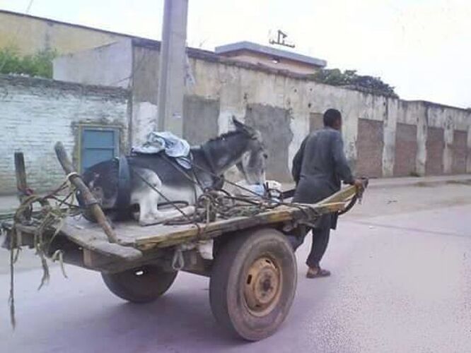 Allez en Tunisie ... - TonAmi