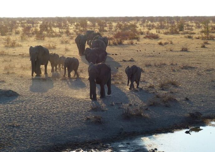 Re: 3 fabuleuses semaines Namibiennes- juillet 2021 - Patbillvoyage