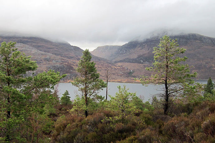 Voyage au dessus de la rive Ouest du loch Maree - calamity jane Voyage au dessus de la rive Ouest du loch Maree - calamity jane