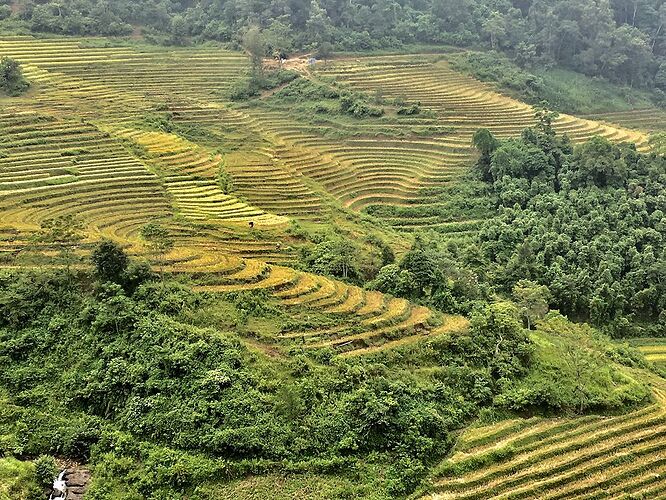 Re: Marché Bac Ha / Lao Cao / Sapa - Abalone_vn