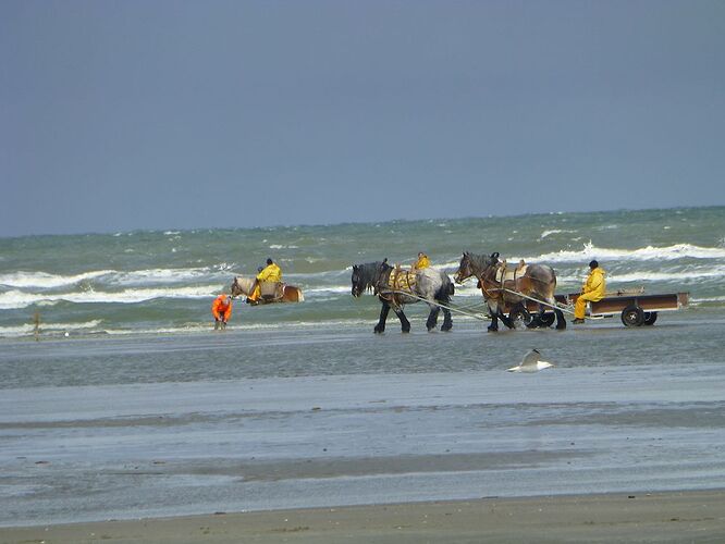Re: Carnet de voyage une semaine à Nieuport sur la côte belge - Fecampois