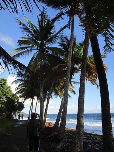 Retour 2 semaines en Guadeloupe - michele87