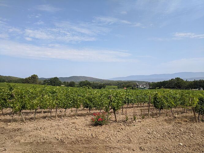 Re: Carnet de voyage, deux semaines en Provence, semaine n°2 - Fecampois