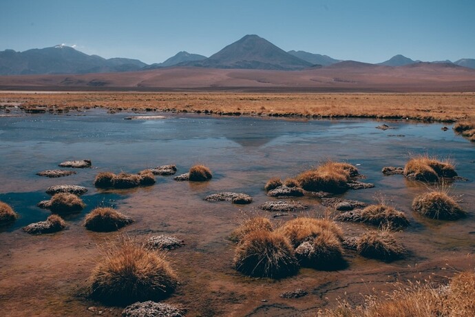 A la découverte du désert d’Atacama - @levoyagedaudrey